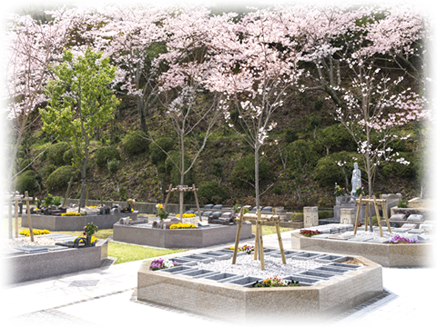 多彩なプランの樹木葬