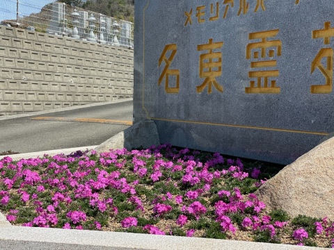 ��������μǺ�������(⋈◍��◡��◍)��✧♡