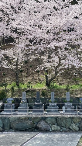 ��������⤪�ָ�🌸!(^^)!