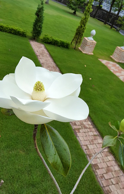 �ٻ��ڡʥ�������ܥ��ˤΤ��֤�����
