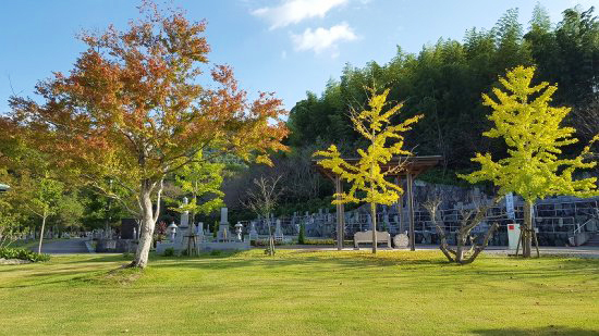 苑内の紅葉がすすみました