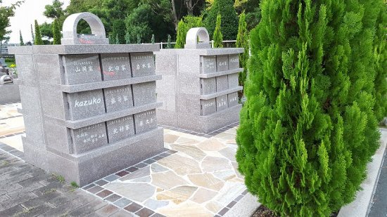 ���嶡�ܸĿ���ء������顡�١�����ץ�ʥǥ������