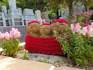 �����ץ˥󥰲���(^o^)Ш������¢�͡����襤�����Ǥ���͡�