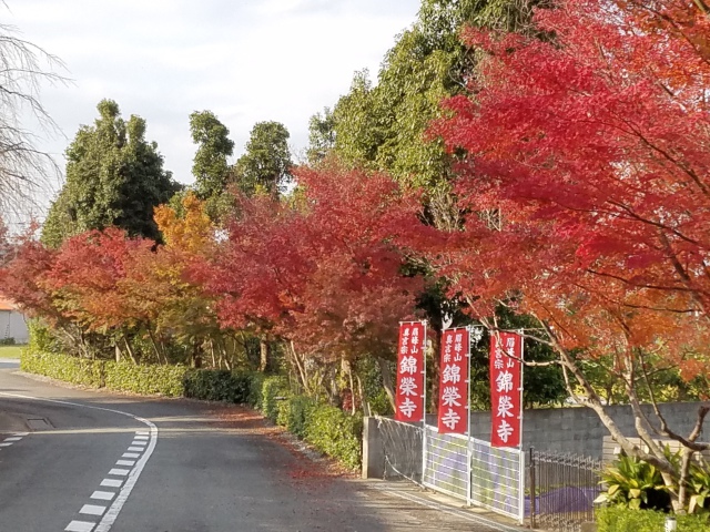��ؤ�������Ǥ�(^^)/
