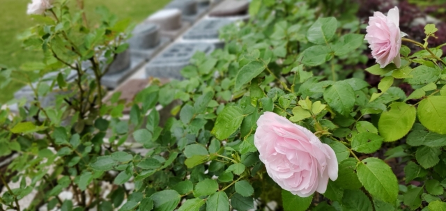 �Ф�餯������ؤۤۤ��ߡ�
