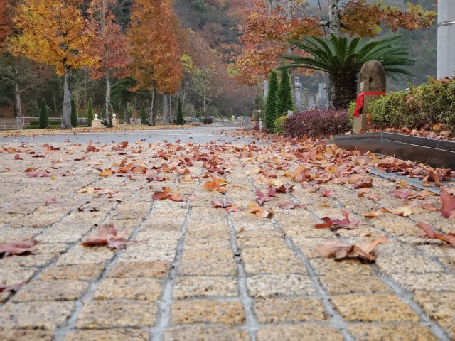 🍂通路も鮮やかに(⋈◍>◡<◍)。✧♡