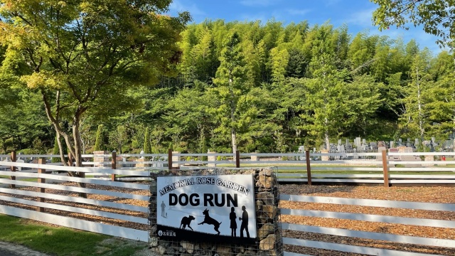 �Ф�����Ҿ����ɥå����🐶