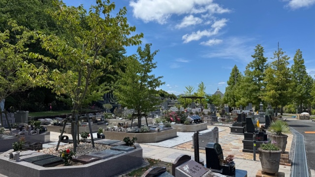 樹木葬エリア暑いですがかわいいです(^^♪