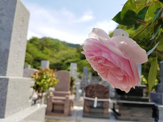 �������ʥХ餬�餭�ޤ���(^^)/
