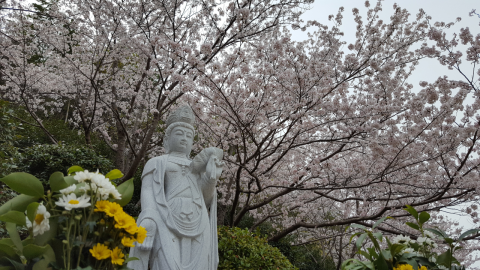 ���������Ƭ���🌸����(^^)/