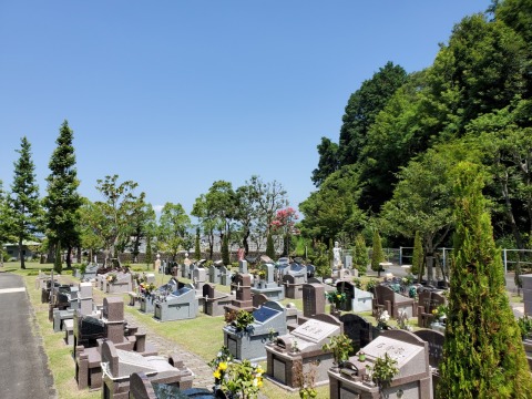 �ץ�ߥ��६���ǥ󥤥��Ǥ���(^^)/