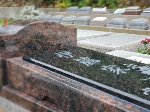 大好評❣樹木葬「桜」
