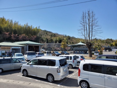 �����λ��Ҽ��ͤ����䤫(*^-^*)