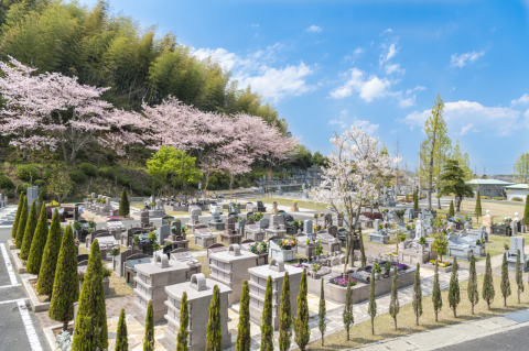 当苑1番人気プレミアムガーデン🌸🌸🌸🌸🌸🌸🌸🌸