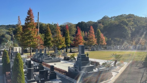 �ɤ�ɤ󿼤ޤ����🍂