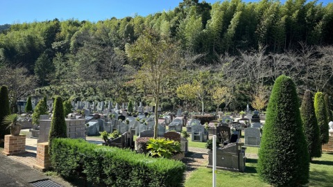 �ۤ�Ρ�����ա��ץ�ߥ��६���ǥ�