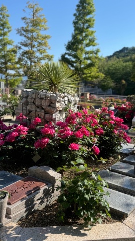 �Х�餯������(^^)/