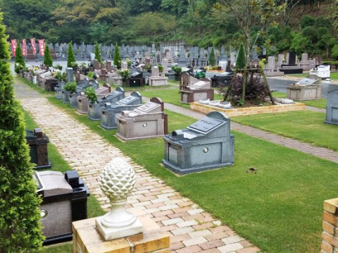�繥ɾ�����嶡���դ��Ŀ��衡�ץ�ߥ��६���ǥ�
