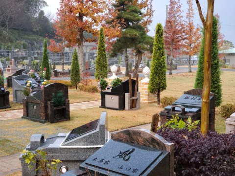 心地いい朝霧(*^-^*)