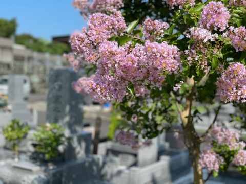 お墓様をより華やかに(^^)/
