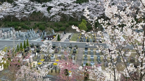 ���⤹�٤�🌸����