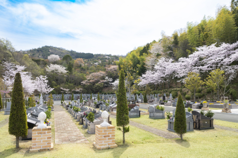 🌸満開の苑内です(^^)/