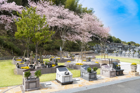 🌸満開の苑内です(^^)/