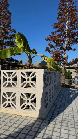 沖縄の風を感じてみたい(^^♪