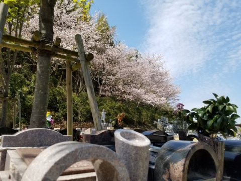 ������ֺ���(^^)/