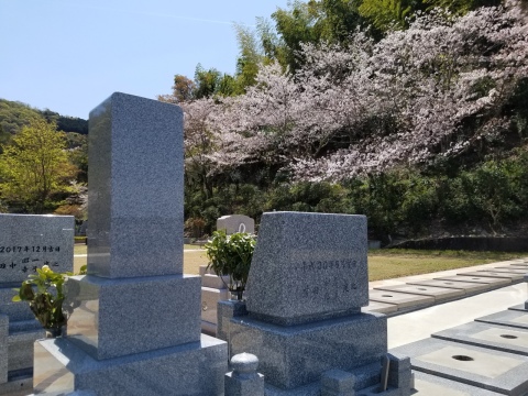 �Хꥢ�ե꡼������֡�20���ߤ��(^^)/
