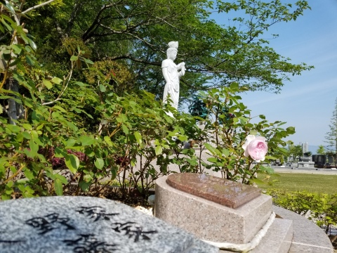 樹木葬「ほほえみ」わずかですよ〜(^^)/