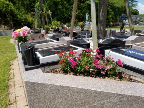 樹木葬『桜』(^^)/