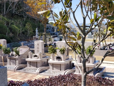 ���줫�饽�ᥤ�襷�κ�🌸