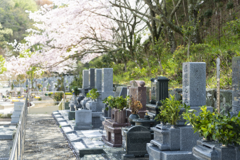 バリアフリー墓所(#^^#)