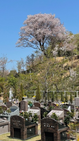 �ץ�ߥ��६���ǥ󥨥ꥢ(^^)/