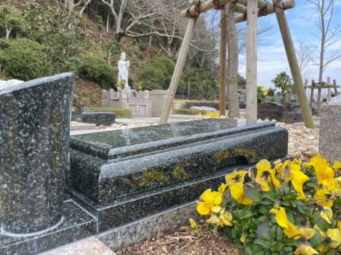 今年もどんどん樹木葬エリア完成(^^)/