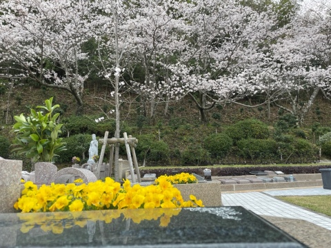 �����ˤ��α��Ǥ������(^^)/