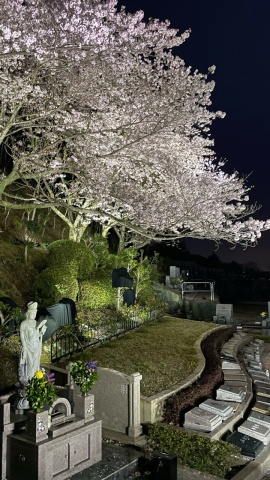�뤵���黣��(*^-^*)