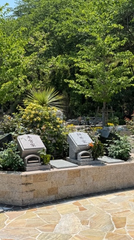 バラ咲く樹木葬(⋈◍>◡<◍)。✧♡