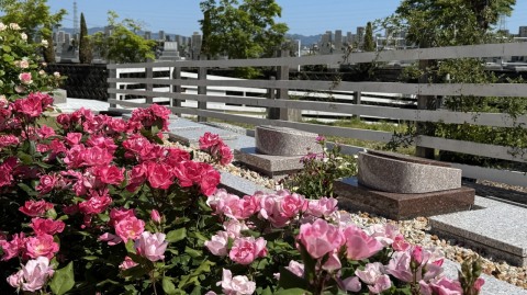 大好評『ほほえみ』(*^^*)