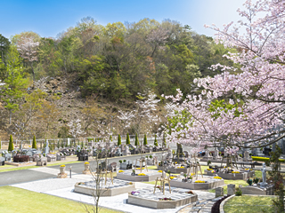 桜の季節の永代供養プレミアムガーデン