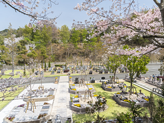 桜の季節の永代供養プレミアムガーデン
