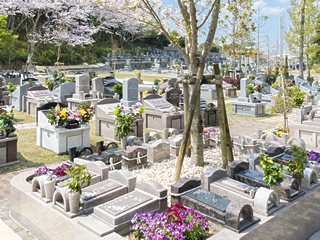 桜の季節の永代供養プレミアムガーデン