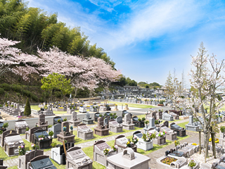 桜の季節の永代供養プレミアムガーデン