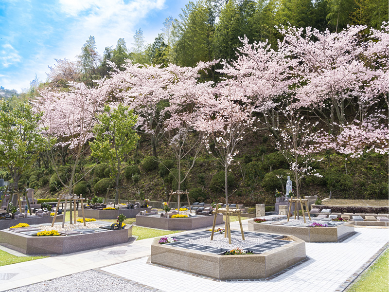 永代供養樹木葬「桜」