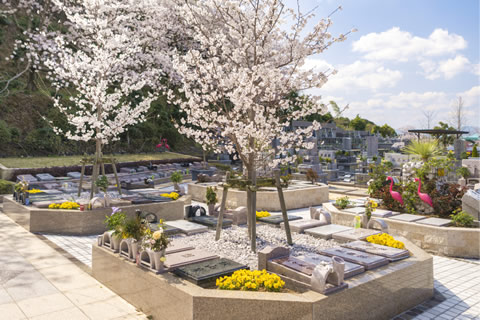 樹木葬桜