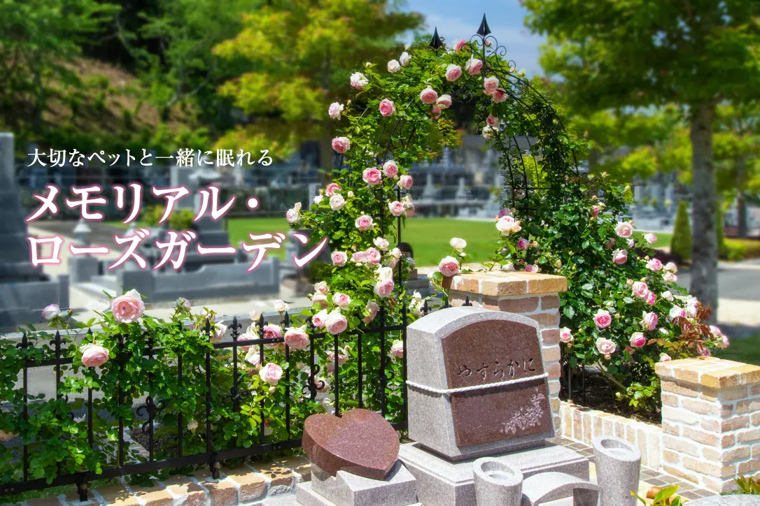 初夏 バラに囲まれた特別な庭、ペットと一緒に眠れるお墓メモリアルローズガーデン