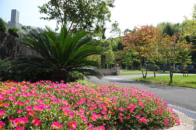 色とりどりの花が咲く霊園